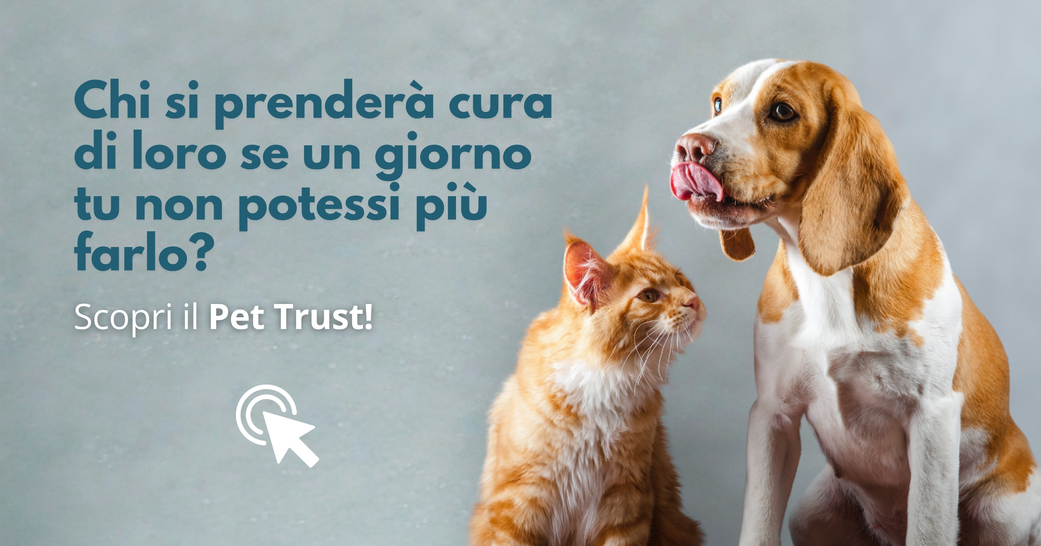 Il Trust a Chiare Lettere