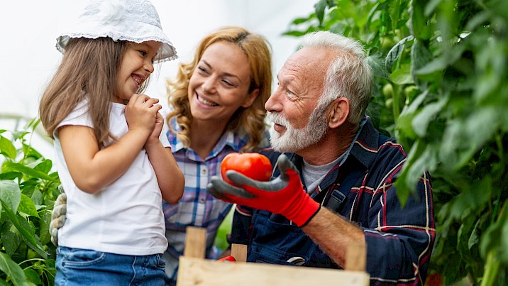 Il Patto di famiglia per la continuità aziendale